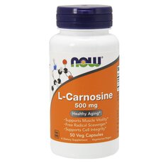 NOW FOODS L-Carnosine 500 mg 50Vcaps