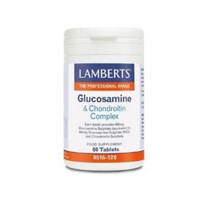  LAMBERTS Glucosamine & Phytodroitin Complex, 60Tabs, fig. 1 