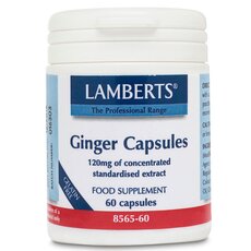 LAMBERTS Ginger Capsules Τζίντζερ 60 Κάψουλες